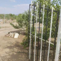 زمین دشت بجد|فروش دفتر صنعتی، کشاورزی، تجاری|بیرجند, |دیوار