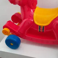 اسب کاملا سالم