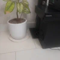 سینماخانگی|سیستم صوتی خانگی|کرج, باغستان|دیوار