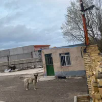 اجاره سوله ۵۵۰ متری در شهرک صنعتی نوجه ده|اجارهٔ دفتر صنعتی، کشاورزی، تجاری|اردبیل, |دیوار