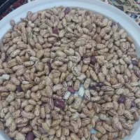 لوبیاچیتی درشت ۴کیلو