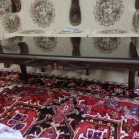 جلومبلی تکی  سالم وسایزبزرگ