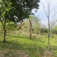 فروش زمین ۶۸۰ متری مسکونی در روستای گنجار|فروش زمین و ملک کلنگی|احمدسرگوراب, |دیوار