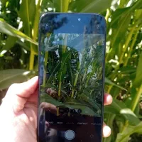 اپل iPhone 16 Pro Max با حافظهٔ ۱ ترابایت|موبایل|اراک, |دیوار