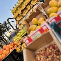 پیکان وانت مدل ۸۶|خودرو سواری و وانت|قزوین, |دیوار