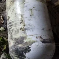 گازسی ان جی