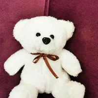 خرس 20 و 30|اسباب‌‌بازی|مشهد, طلاب|دیوار