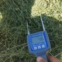 خریدار یونجه پرس بهبهان و خیر آباد نقدی