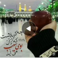 تور کربلا ویژه آذر دوسر هوایی و زمینی