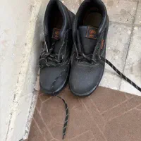 کفش کار