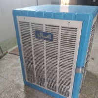 کولرابی