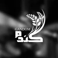 طراحی و دیزاین تخصصی لوگو|خدمات رایانهای و موبایل|تبریز, |دیوار