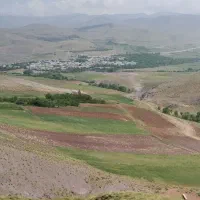 استقرار-کندوی-زنبور-داری