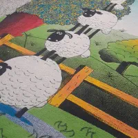 قالی ۶ متری