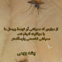 سم‌پاشی *تخصصی* موش و سمپاشی سوسک کک پشه ساس|خدمات نظافت|رشت, بوسار|دیوار