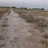 زمین کشاورزی گلخانه ای باغی|فروش زمین و ملک کلنگی|ورامین, ورامین|دیوار