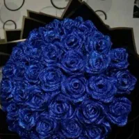 دسته گل|گل مصنوعی|خرمآباد, |دیوار