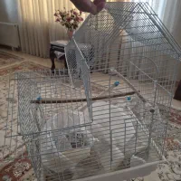 قفس کاملا سالم و تمیز فوری