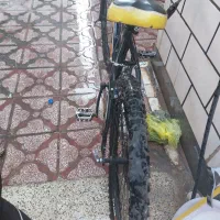 دوچرخه ویوا|دوچرخه، اسکیت، اسکوتر|اسلامآباد غرب, |دیوار