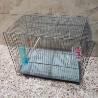 قفس پژاوند سایز بزرگ