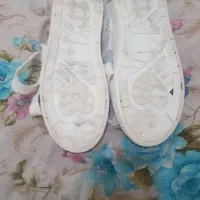 نیم بوت|کیف، کفش، کمربند|اصفهان, پروین|دیوار