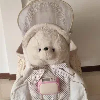 گهواره برقی