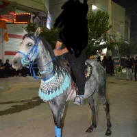 مادیان جوان