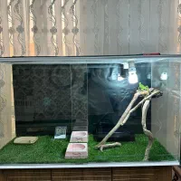 تراریوم خزنده بسیار شیک