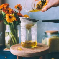 کاربر گیاهان دارویی|خدمات آموزشی|مشهد, احمدآباد|دیوار