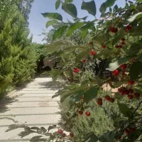 کردان-کوهسار-ولیان-بینه-بالاکوچه-یاران780متر4دیوار