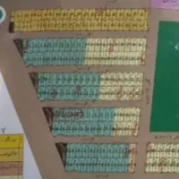 زمین مسکونی در چوبیندر نور ۴