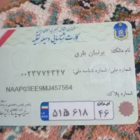 پیدا شده