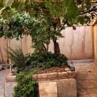 همکف از اپارتمان