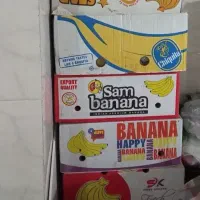 فروش کارتون جای موز