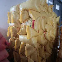 سر لاشه هاشمی کشاورزی اعلا|عمدهفروشی|تالش, جوکندان|دیوار