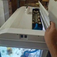 اکواریوم شرکتی دسا|ماهی|قم, نیروگاه|دیوار