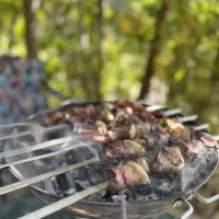 انواع اتشدان های هیزمی و سفری|اجاق گاز و لوازم برقی پختوپز|شیراز, بازار|دیوار