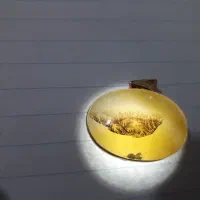 کلکسیونی کمیاب