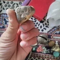 مهرسنگی|کلکسیون اشیاء عتیقه|کوهدشت, |دیوار