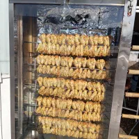 فر جوجه گردان پاچینی شش سیخ با کارکرد کم