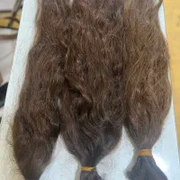 کوتاهی و خرید مو