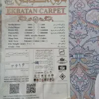 پادری