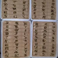 استخدام یک ویزیتور