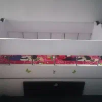 تخت گهواره ای روروئک و کهریر هم موجوده