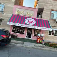 سایبان بازویی متحرک برقی ودستی