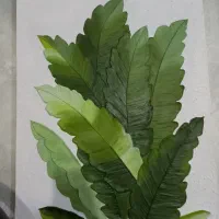 تابلو برگ استوایی|تابلو، نقاشی، عکس|شهر بابک, |دیوار