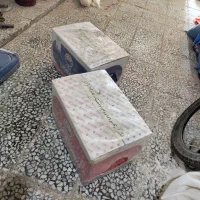 12 عدد بوش دنگ و فنگ و البرز نو درجه یک