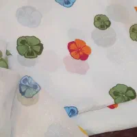 لباس باسریگ