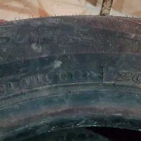 لاستیک نکسن خارجی|قطعات یدکی و لوازم جانبی|سربیشه, |دیوار