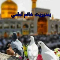 تورزیارتی مشهد برای ۲۴ تا ۲۶ و ۳۰ آذر